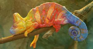 Chameleon - managing difficult situations